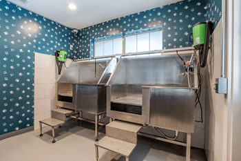 A stainless steel food preparation area with a green fan at Reserve by the Lake, Houston, TX, 77084
